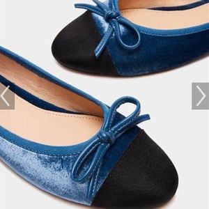 Steve Madden Ellison Blue Velvet